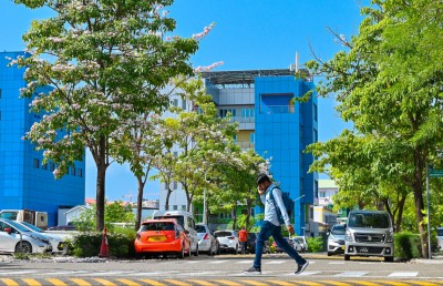 ކަފިހުރަހަކުން މަގު ހުރަސްކުރި މީހެއްގެ ގައިގައި ސައިކަލަކުން ޖެހި އަނިޔާވެއްޖެ