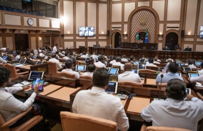 ފަންނުވެރިންގެ ޓްރޭޑްމާކްތައް ހިމާޔަތްކުރަން ބިލެއް ހުށަހަޅައިފި