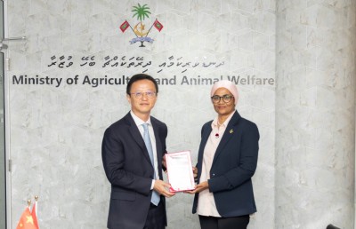 ރުއްތަކަށް ގެއްލުންދޭ ސޫފި ކޮންޓްރޯލްކުރަން ޗައިނާގެ އެހީ