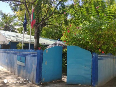 ފެނުނީ ދުވަސް ފުރައި ވިހާފައި އޮތް އަންހެން ކުއްޖެއް، ޒަހަމެއް ނެތް!