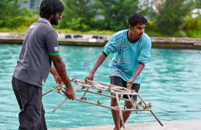 ހުޅުމާލެ ޗެނަލް ޕާކުގައި މުރަކަ އާލާކުރަނީ