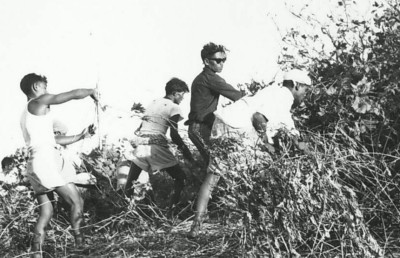 ހުޅުލޭ އެއާޕޯޓް: މިނިވަންކަމަށް ފެށި ދަތުރުގެ މައި ބަނދަރު