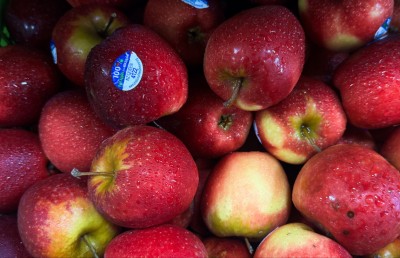 އާފަލެއް އަގު 10ރ. އިން މައްޗަށް