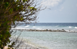 އޮޓޮޕްސީން އާ ކަމެއް ނުފެނުނު، ތަހުގީގުން ވެސް ކުރިއެރުމެއް ނެތް!