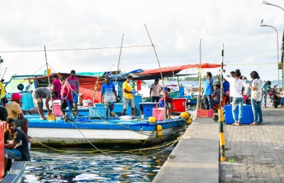ނޯތު ހާބަރު މަސްމާރުކޭޓު ސަރަހައްދާ ހިސާބަށް ބޮޑުކޮށް، ކުރިއެކޭ އެއްގޮތަށް ފީއެއް ނަގަނީ