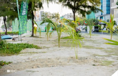 މިނިވަން 60 އާ ގުޅުވައި ހުޅުމާލޭގައި 60 ރުއް އިންދައިފި