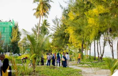 މިނިވަން 60 އާ ގުޅުވައި ހުޅުމާލޭގައި 60 ރުއް އިންދައިފި