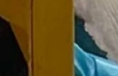 މިޔަރު ހިމާޔަތްކުރުމުގެ ނަމޫނާ ދަމަހައްޓަން ރާއްޖެއަށް ގޮވާލައިފި