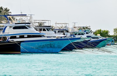 20 އަހަރުގެ ތަރައްގީގެ ގައުމީ މާސްޓަ ޕްލޭން ޖެނުއަރީގައި ލޯންޗްކުރަނީ