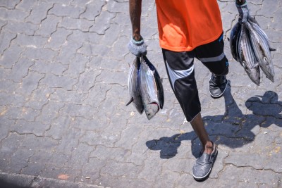 މަސްވެރިންނަށް 422 މިލިއަން ދޫކޮށްފި، ނުދެވި 270 މިލިއަން ރުފިޔާ