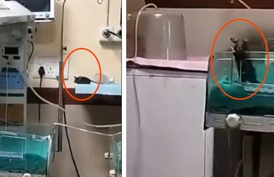 އިންޑިއާގެ ހޮސްޕިޓަލެއްގެ އެންއައިސީޔޫގައި މީދާ؛ ދެ ކުއްޖަކު މަރުވެ ޝަކުވާ ބޮޑުވެއްޖެ