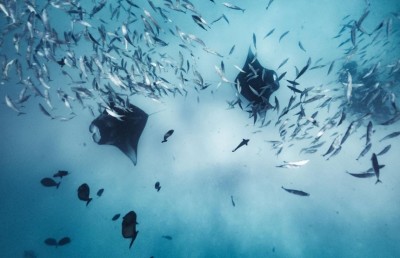 ބ. އަތޮޅުގެ "ހިތް" ހަލާކުކޮށްލަން ދޫކޮށްނުލާ!