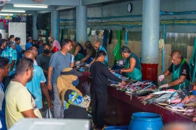 މިފްކޯއިން މަސް ގަންނަ އަގު 20 ރުފިޔާއަށް ކުޑަކުރަން ނިންމައިފި