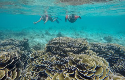 ބ. އަތޮޅުގެ ވެއްޓަށް ގެއްލުން ލިބޭ ގޮތަށް ހިންގަން އުޅޭ އެހެން ޕްރޮޖެކްޓުތައް ވެސް ހުއްޓާލަން ގޮވާލައިފި