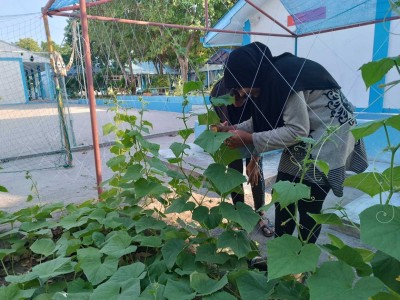 ރޯދަޔަށް ތޮއްޑޫ ދަރިވަރުން ވެސް ބާޒާރަށް ކަރާ ނެރެނީ