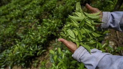 އިރާނަށް ދައްކަންޖެހޭ ދަރަނި ލަންކާއިން ސައިފަތުން ދައްކަނީ