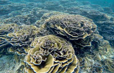 ބ. އަތޮޅުގެ ވެއްޓަށް ގެއްލުން ލިބޭ ގޮތަށް ހިންގަން އުޅޭ އެހެން ޕްރޮޖެކްޓުތައް ވެސް ހުއްޓާލަން ގޮވާލައިފި