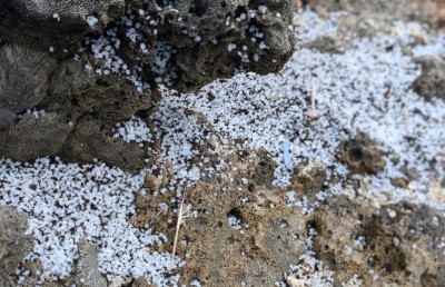 ތިމާވެށީގެ ގެއްލުމަށް ބިލިއަން ޑޮލަރު ދައްކަން ލަންކާ ކޯޓަކުން ކުރި ހުކުމަށް ދެކޮޅު ހަދައިފި