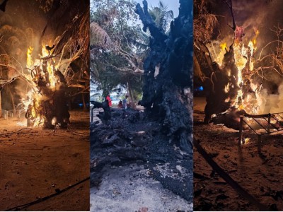 ބާރަށުގައި ބޮޑުތަކުރުފާނު އިންދެވި ކަމަށް ބުނާ ކާނިގަހުގައި ރޯކޮށްލައިފި