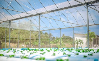 ބީއެމްއެލްގެ އެހީގައި ކިހާދޫއަށް ހައިޑްރޯފޯނިކްސް ސިސްޓަމެއް