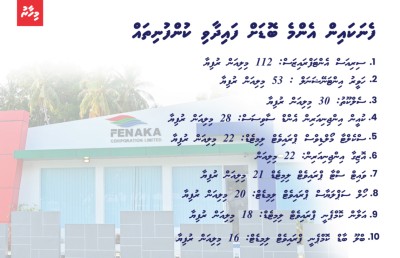ފެނަކަ ހުލިކޮށްލާއިރު ބަލަހައްޓައިގެން ނުތިބެ އޯވަހޯލް ކުރަންޖެހޭ!