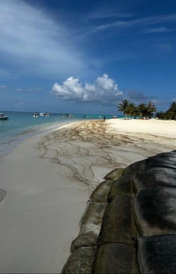 ފުލިދޫ ގޮނޑުދޮށް ކަޅުތެލުން ތަޣައްޔަރުވެއްޖެ