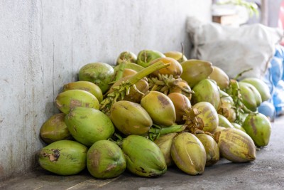 ބާޒާރުގައި ކުރުނބާގެ އަގު އުފުލެނީ