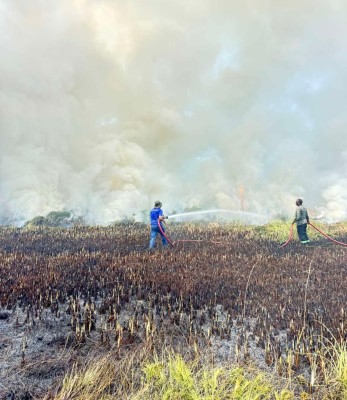 އައްޑޫގެ ރީތި އިކޯ ގާޑެން "އަންދާލައި" އަޅިއަށް ހަދައިފި!