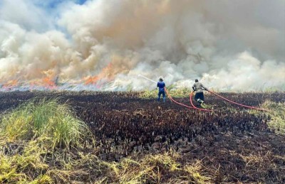 އައްޑޫގެ ރީތި އިކޯ ގާޑެން "އަންދާލައި" އަޅިއަށް ހަދައިފި!