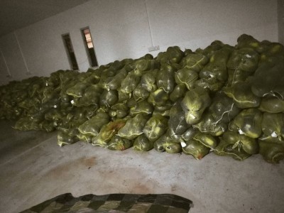 ހަ ރޯދަ ވެރިންނަށް ބަހަން ޗަމްޕާ ބްރަދާސްއިން 25 ޓަނުގެ ކަރާ ދީފި