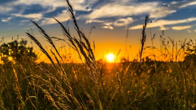 ހޫނުގަދަވުމުން ދީނީ އަދި ދުނިޔެވީގޮތުން ސަމާލުވާންޖެހޭ ބައެއް ކަންކަން