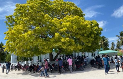 ދެއްވަދޫ ރަސްގެފާނުގެ މަގުބަރާ އެ ރަށަށް ބަދަލުކޮށްދޭން އެދެފި
