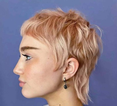 ޕިކްސީ ހެއާ ސްޓައިލް ގޮސްފި، މިހާރު މިކްސީ