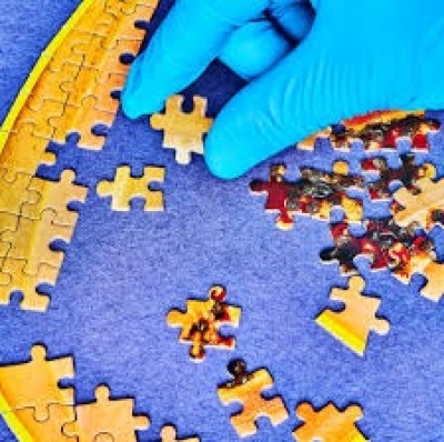 2،022 ޖިގްސޯ ޕަޒްލް އެއްކޮށްގެން ރިކޯޑު ފޮތަށް