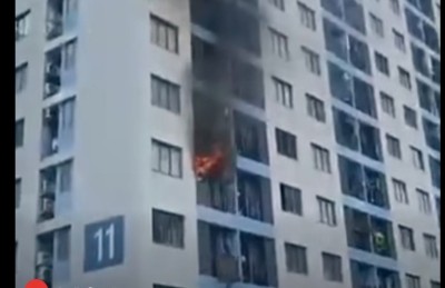 ހިޔާ ފްލެޓުގެ އެޕާޓްމަންޓެއްގައި ރޯވެ، ގެއްލުން ލިބިއްޖެ