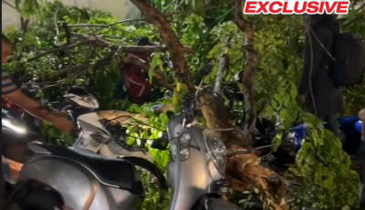 ވައިގަދަވެ ގަސްތަކެއް ވެރި ސައިކަލުތަކަކަށް ގެއްލުން ވެއްޖެ