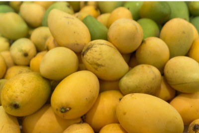 ''މެންގޯ އައިލެންޑް''ގެ ރައްޔިތުން އަނބަށް ހަދާނެގޮތެއް ނޭނގިފައި