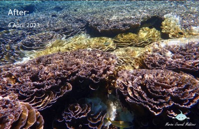 އީޕީއޭގެ އެންގުމާ ޚިލާފުވެ، ބައެއް މަޝްރޫއުތައް ކުރިއަށްގެންދާތީ ނަސޭހަތް ދެނީ