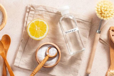 ހުރިހާ އެއްޗެއް ސާފުކުރަނީ ވިނެގާ ބޭނުންކޮށްގެންތަ؟