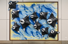 ހަނިމާދޫ އެއާޕޯޓަށް ވައިގެ ދަތުރު އިތުރުކުރަން އިންޑިއާއިން ޓްރާންސްޕޯޓް މިނިސްޓަރާ މަޝްވަރާކޮށްފި