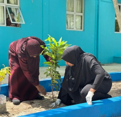 ހިތްފަސޭހަ މާހައުލެއް ގާއިމުކުރުމަށް، ގުރައިދޫ މަރުކަޒުގައި ގަސް އިންދުމުގެ ޕްރޮގްރާމެއް