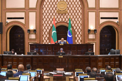 ތިން މަސްތެރޭ ގޯތި ހަވާލުކުރަން ލާޒިމުކުރާ ބިލު މަޖިލީހުން ބޭރުކޮށްލައިފި