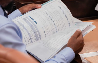 އަންނަ އަހަރުގެ ބަޖެޓުގެ 29 ޕަސެންޓް ހޭދަވާނީ ދަރަނި ދައްކަން