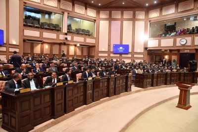 241 ކޮމިޓީގައި 13، އެހެން ކޮމިޓީތަކުގައި 11 މެންބަރުން ހިމަނަން ފާސްކޮށްފި