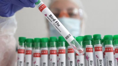 ދޫނި ރޯގާގެ އެޗް5އެން2 ސްޓްރެއިން ޖެހި، ފުރަތަމަ މަރު މެކްސިކޯގައި