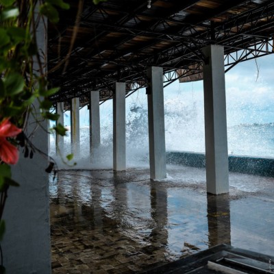 މޫސުން ގޯސް، އުދައިގެ އަސަރުކުރުން އެކަށީގެންވޭ