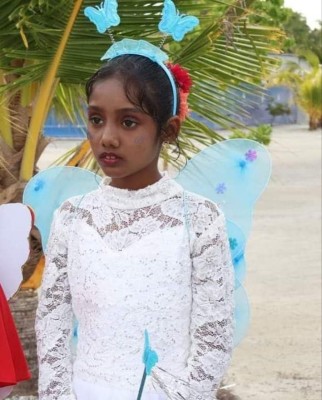 މުޅި ފިިޔޯރީ ހާސްކަމުގައި، ކުޑަކުޑަ މީނާލް ގެއްލިގެން ހޯދަނީ