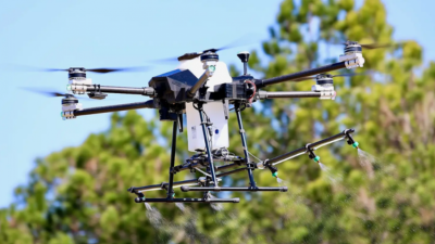 ފްލޮރިޑާގައި މަދިރީގެ ނުރައްކަލުން އަރައިގަތުމަށް ޑްރޯން ބޭނުންކުރަނީ