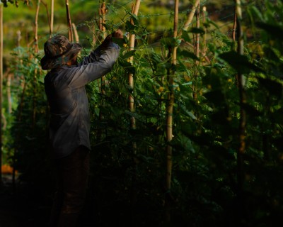 ރާއްޖޭން ބޭރުގައި ދަނޑުވެރިކަމުން މަތީ ތައުލީމު ހާސިލްކުރުގެ ފުރުސަތެއް