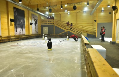 ސްނޯ ޕާކު ނަގައި ގޭމު ކުޅޭ ތަނެއް ހަދަނީ